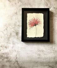 Big, Spiky, Pink and Red Flower - Framed Original Watercolour Painting