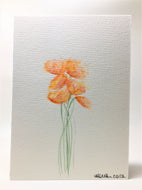 Orange, Yellow and Pink Poppies - Hand Painted Watercolour Greeting Card