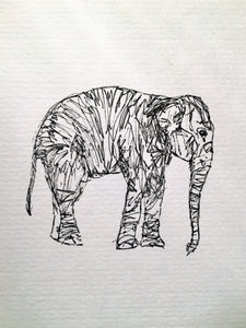 Hand drawn Greeting Card - Elephant - eDgE dEsiGn London